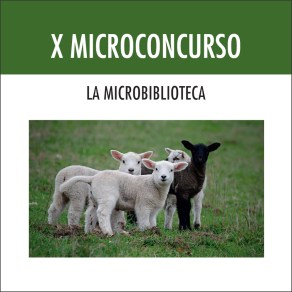X Microconcurso La Microbiblioteca-cubierta